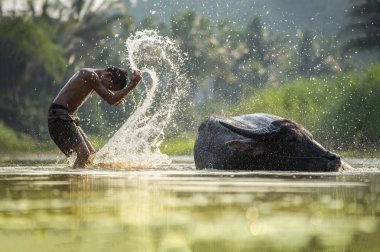 Asya çocuk üzerinde nehir buffalo / çocuk mutlu komik oynama ve sh
