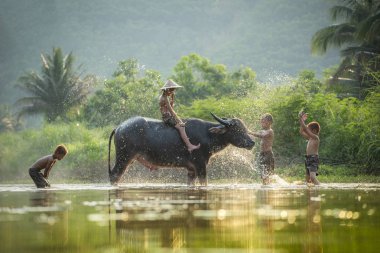 Asya çocuklar üzerinde nehir Buffalo/çocuklar arkadaş mutlu komik PLA