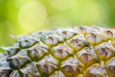 Ananas Meyve yakın / doku ananas cilt ve doğa 