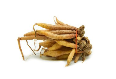 Parmak kökü beyaz arkaplanda izole edildi