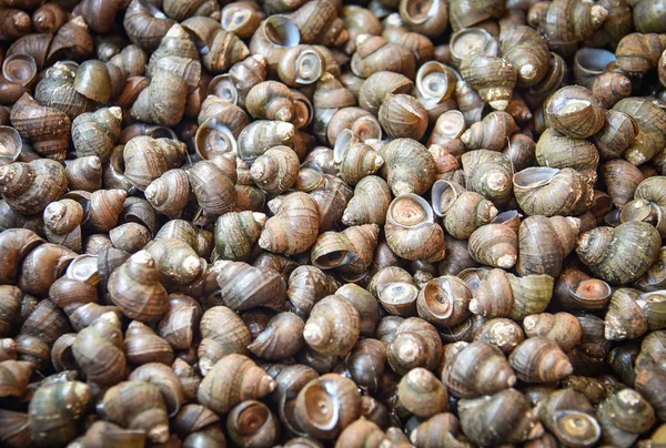 Rzeka ślimak - słodkowodne ślimak do sprzedaży na lokalnym rynku — Zdjęcie stockowe