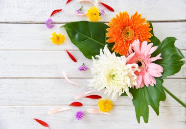 Çerçeve taze bahar yaz çiçekler kompozisyon tropikal bitki ger