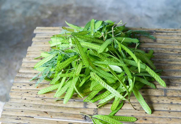 Fruto de Leucaena leucocepphala semillas para la alimentación en Asia / White po —  Fotos de Stock