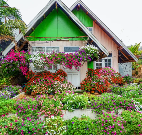 Барвистий будинок з красивою квіткою вішають прикрасити в саду — стокове фото