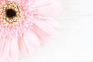 Beyaz masa arka planda yumuşak pembe çiçek gerbera papatya 