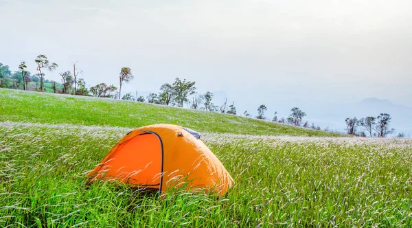 Kamp çadır turist tepe dağ manzara yeşil çim çimen — Stok fotoğraf