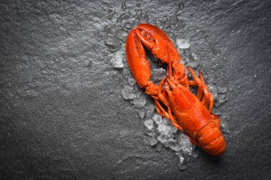 Koyu backgroud üst görünümü üzerinde buz ile kırmızı ıstakoz deniz ürünleri