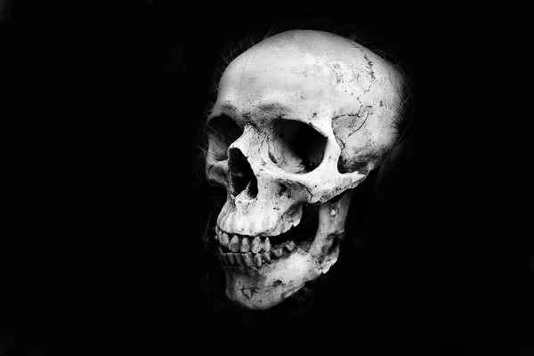 Menselijke schedel hoofd op donkere zwarte achtergrond-monochroom — Stockfoto