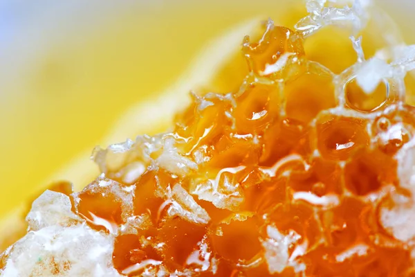 Čerstvý med/uzavřít makro žlutého sladkého hřebenového hřbetu, přírodní h — Stock fotografie