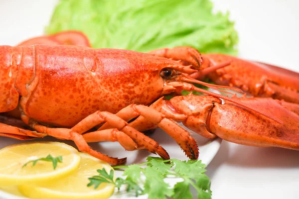 Lobster owoce morza pyszne na białej płycie z cytryną kolendry — Zdjęcie stockowe