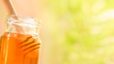 Fresh honey healthy food / Close up of sweet honey in jar with w