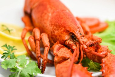 Istakoz deniz ürünleri lezzetli limon kişniş beyaz plaka üzerinde bir