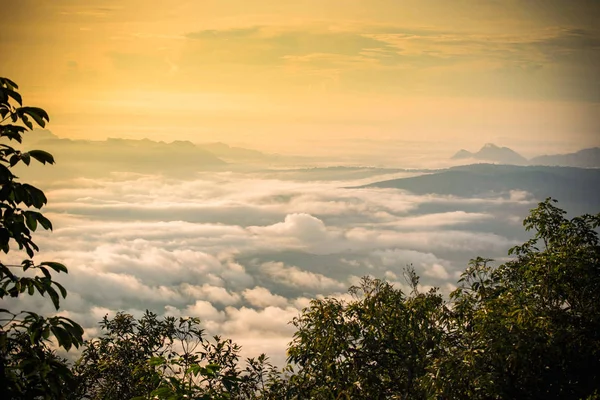 Gündoğumu sisli sis kapalı dağ ormanı manzara üst görünüm ye — Stok fotoğraf