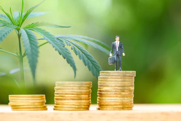 Biznes konopi liści pozostawia marihuanę sukcesu rynku zysku g — Zdjęcie stockowe