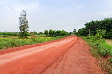 Kırsal yol / kırsal Asya doğa güneydeki ile toprak yol