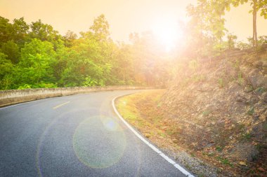 Sabah güneş ışığı ve r ağaç ile yokuş yukarı yol eğrisi