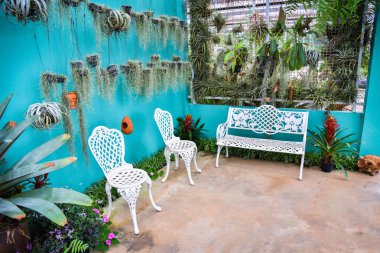 Yeşil bitki h ile bahçe çiçekleri Vintage tezgah ve sandalye