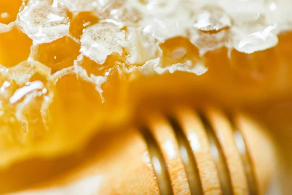 Fresh honey and wooden dipper honey / Close up macro of yellow s — Stock Photo, Image