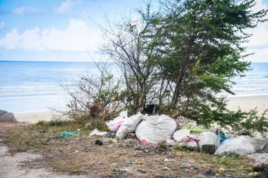  Okyanusta plastik çöp kirliliği çevre sorunu
