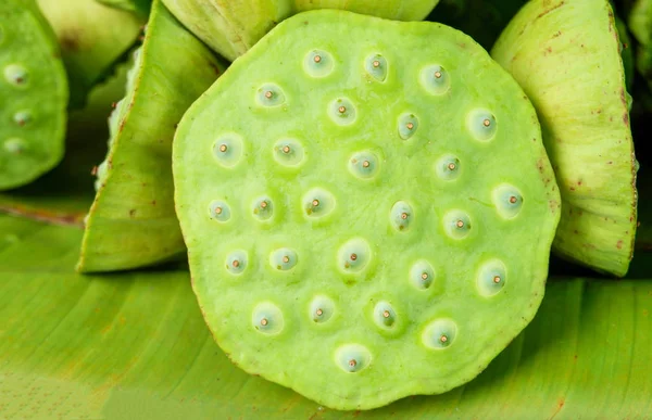 Lotus seeds close up on banana feaf background