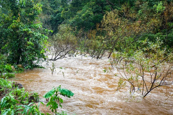 Water flood on river after heavy rain rapids water flow copiousl