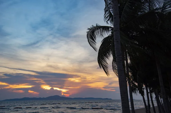 Silueta cocotero palmera puesta del sol océano en la playa tropical — Foto de Stock