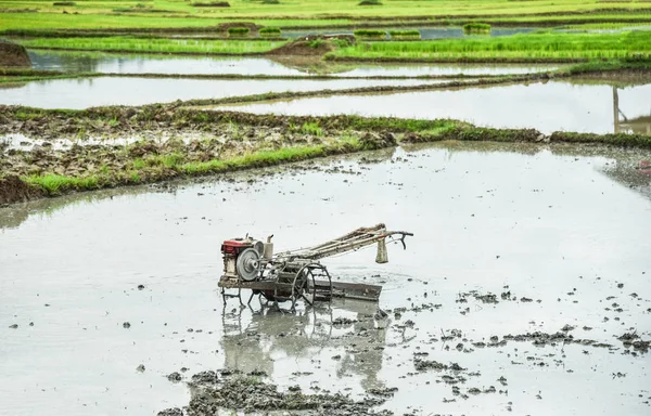 Прогулянка Трактор на рисовому полі для роботи плугів сільськогосподарських угідь підготовлений — стокове фото