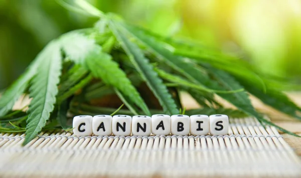 Cannabis hinterlässt Marihuana-Pflanze auf hölzernem und naturgrünem Rücken — Stockfoto