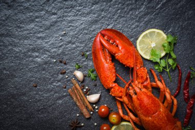 Koyu backgrou üzerinde limon otlar ve baharatlar ile kırmızı ıstakoz deniz ürünleri