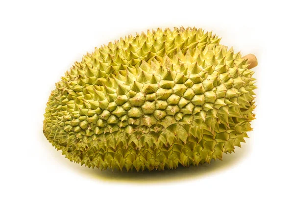 Durian isolé - Fruits tropicaux de durian frais sur fond blanc — Photo