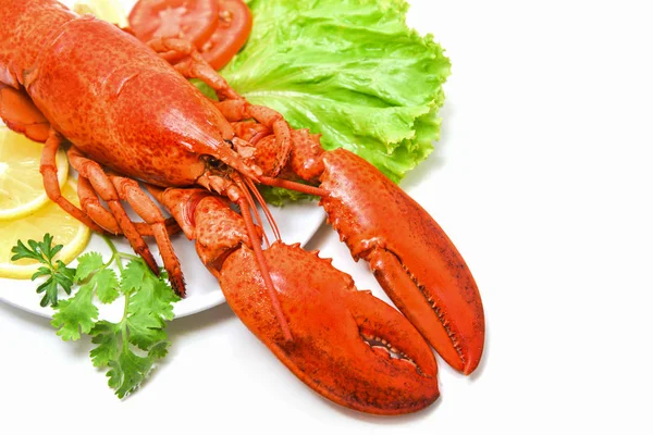 Lobster izolowane owoce morza pyszne na białej płycie z cytryny Kor — Zdjęcie stockowe