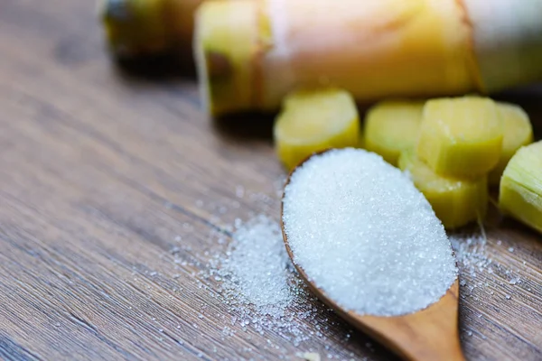 Colher de açúcar branco e cana de açúcar — Fotografia de Stock