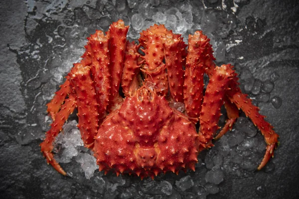 Alaskan King Crab Cooked steam or Boiled seafood with ice on dar — Stock Photo, Image