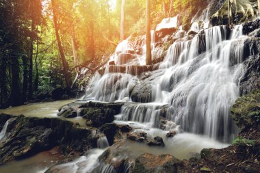 Şelale manzara orman dağ ve bambu ağacı vahşi tropica