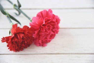 Kırmızı ve pembe karanfil çiçek beyaz ahşap üzerinde çiçeklenme 