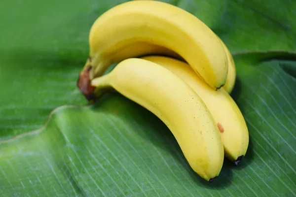 Banana sullo sfondo foglia di banana in estate — Foto Stock