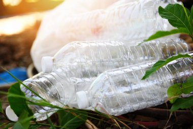 plastik şişe kirliliği çevre / Geri dönüşüm atık yönetimi 