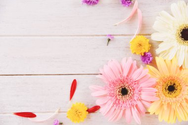 Bahar çiçekleri gerbera beyaz ahşap renkli