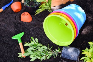 Toprak arka planda bahçe araçları çiçek dikim hazır ve