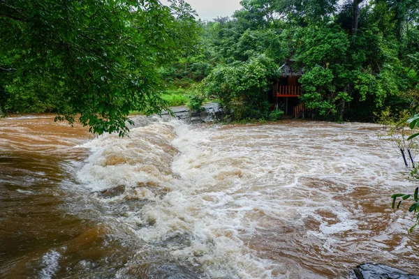 Water flood on river after heavy rain rapids water flow copiousl