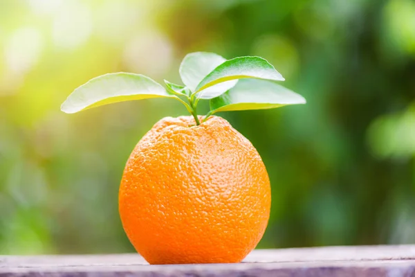 Fruta naranja sobre fondo verde natural en verano - Naranja fresco —  Fotos de Stock