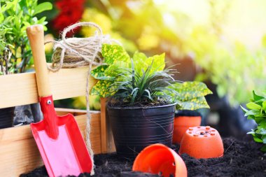 Toprak arka planda bahçe araçları çiçek dikim hazır ve