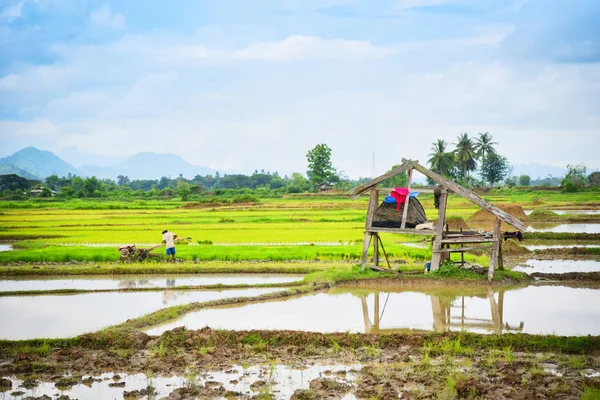 Сільськогосподарський робочий плуг сільськогосподарських угідь Трактор на рисовому полі перед — стокове фото