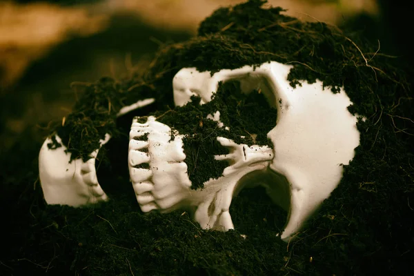 Teschio su fondo suolo - spaventoso grunge cranio umano vinta — Foto Stock