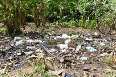 Parktaki çöpler büyük şehrin zeminine çöp döktü.