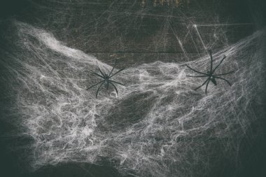 Cadılar Bayramı arka plan korku dekorasyon örümcek web ve siyah spid