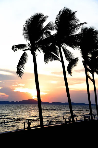 Silueta playa turistas con cocotero palmera puesta del sol océano en — Foto de Stock