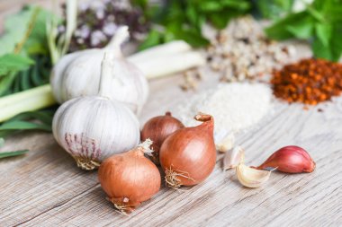 tom için otlar ve baharatlar malzemeler baharatlı çorba taze sebze