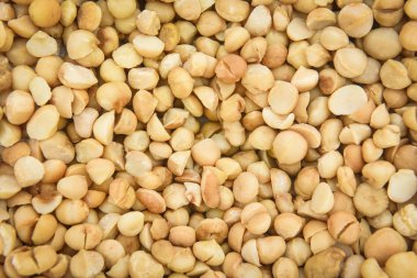 Macadamia fındık doku Kurutulmuş arka plan - Taze macadamia