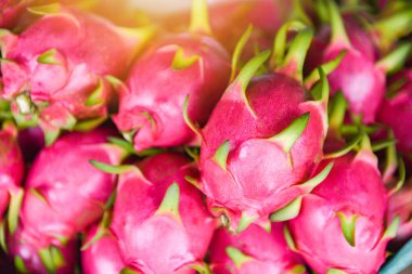 Meyve pazarında satılık sepette Dragon meyve - Taze 